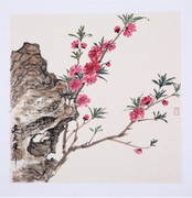 专场作品